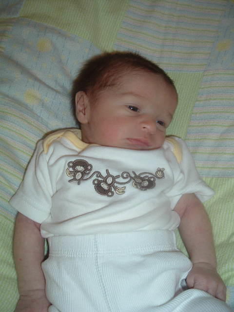 2011_0711Image0011.JPG