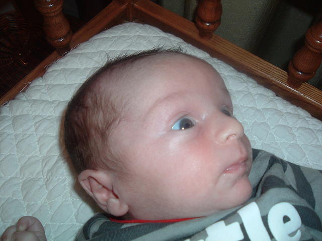 2011_0910Image0007.JPG