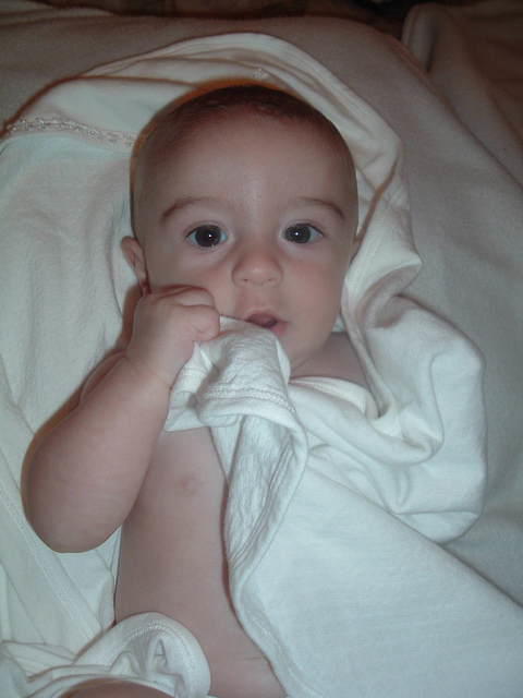 2011_1018Image0020.JPG