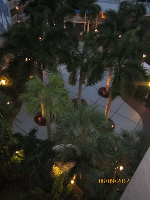 IMG_0394.JPG