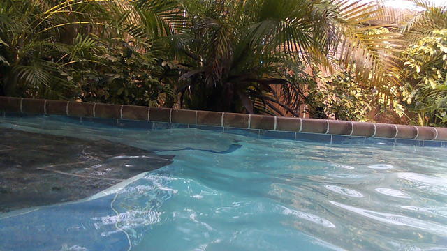 100_0011.JPG