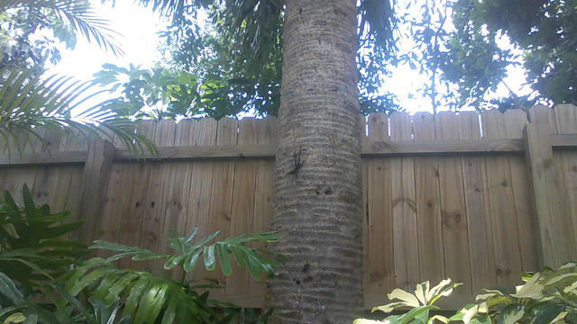 100_0062.JPG
