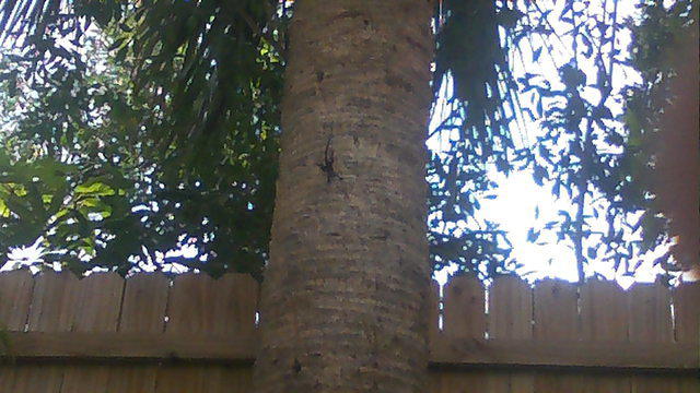 100_0063.JPG