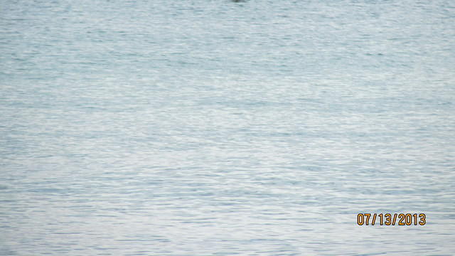IMG_0448.JPG
