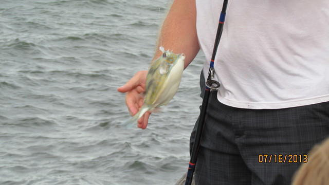 IMG_0489.JPG