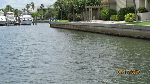 IMG_0504.JPG