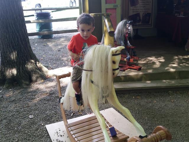 20140823_150839.jpg