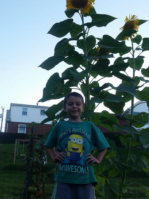 20140829_190458.jpg