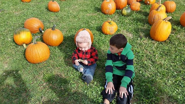 20141011_154258.jpg
