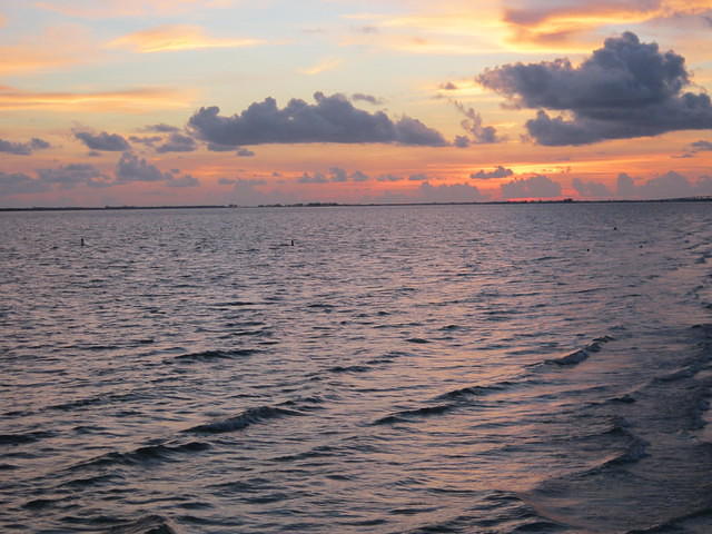 IMG_0663.JPG