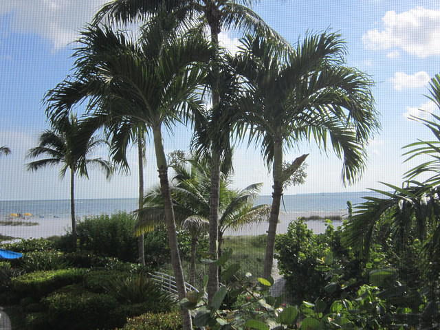 IMG_0680.JPG