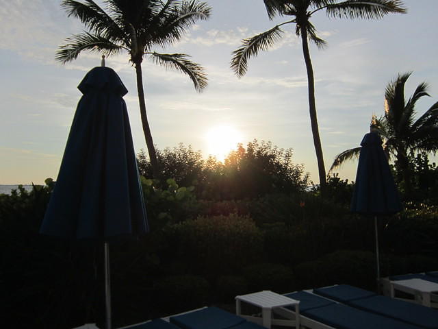IMG_0695.JPG