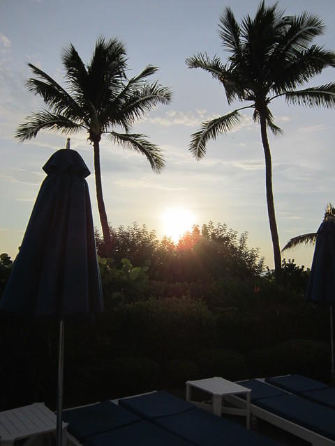 IMG_0696.JPG