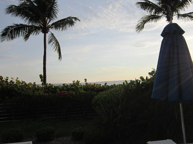 IMG_0697.JPG