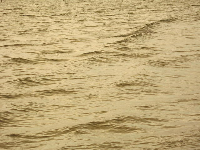 IMG_0705.JPG