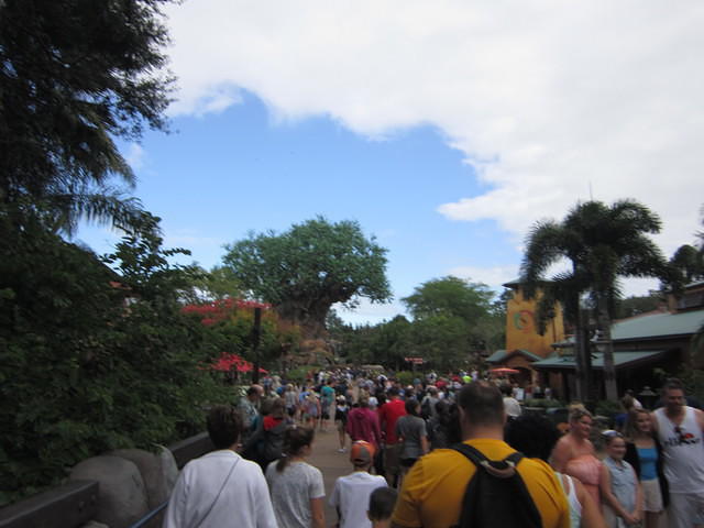 IMG 0840