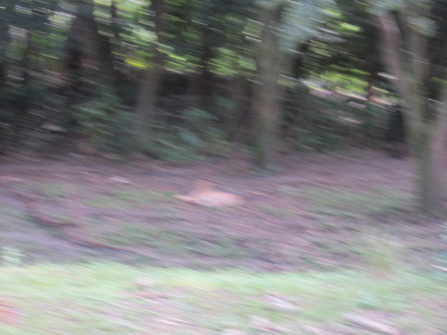 IMG 0857