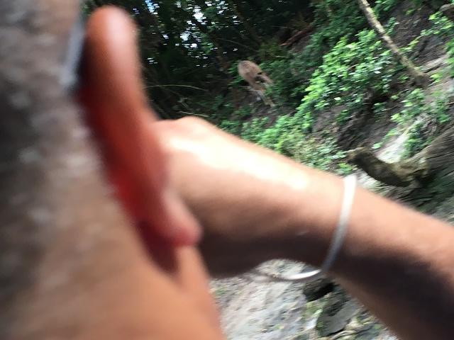 IMG 0900