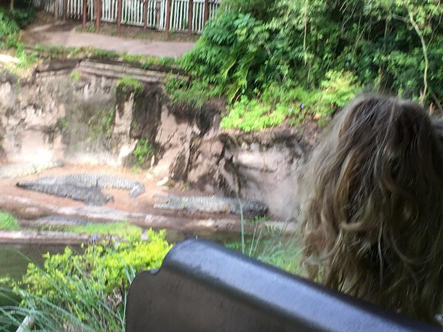 IMG 0904