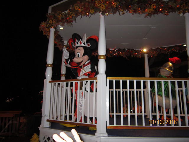 IMG 0937