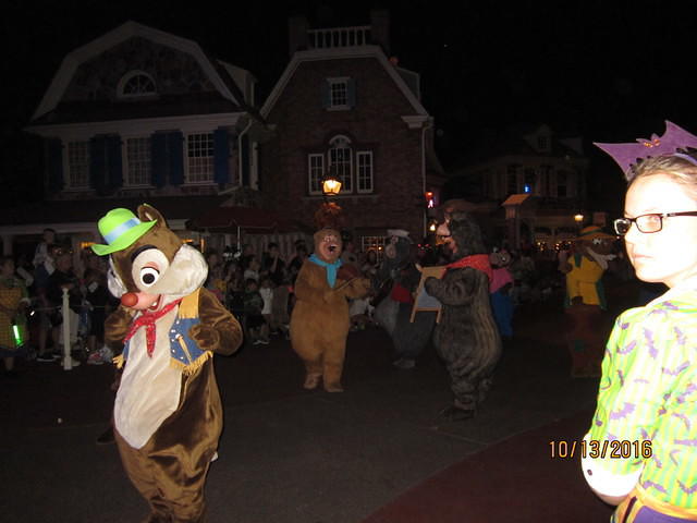 IMG 0951