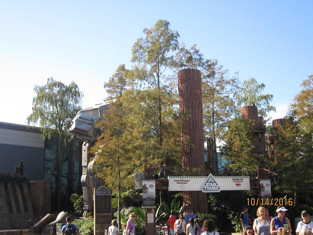 IMG 0970