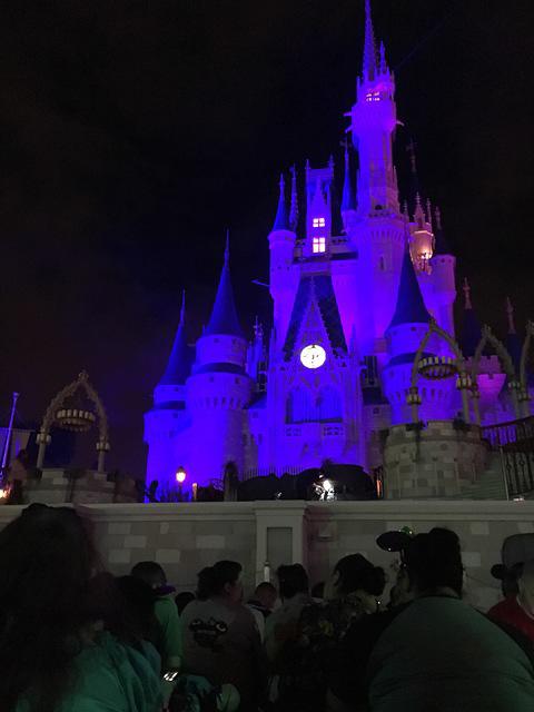 IMG 0992