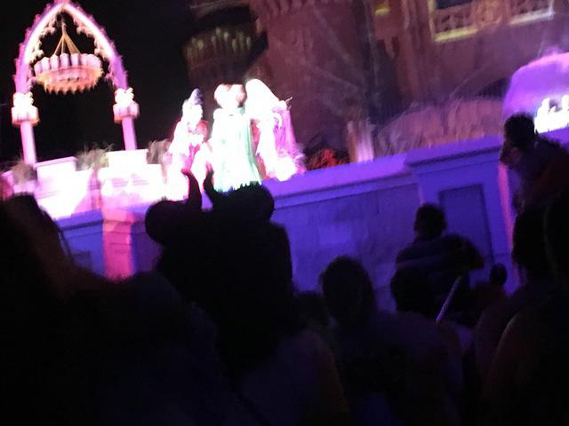 IMG 0994