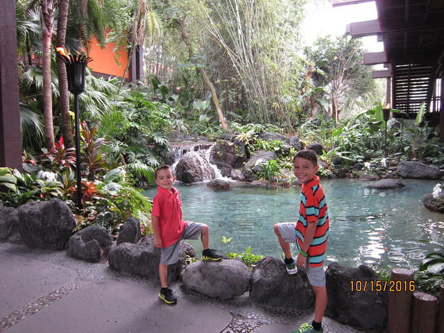 IMG 0994