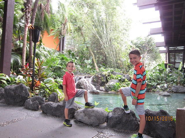 IMG 0995
