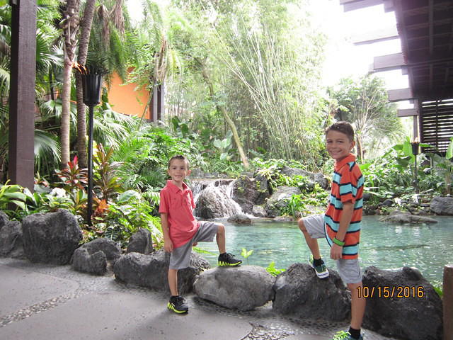 IMG 0996