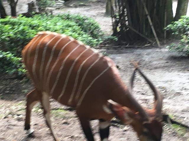 IMG 2203