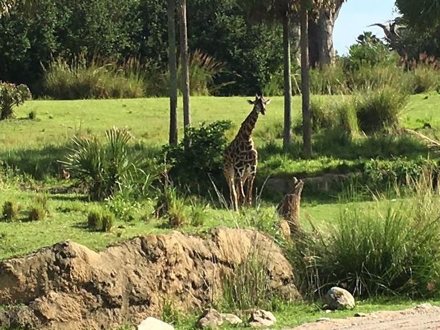 IMG 2210