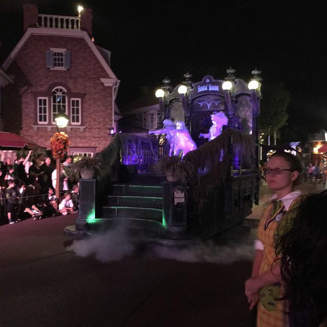 IMG 2284
