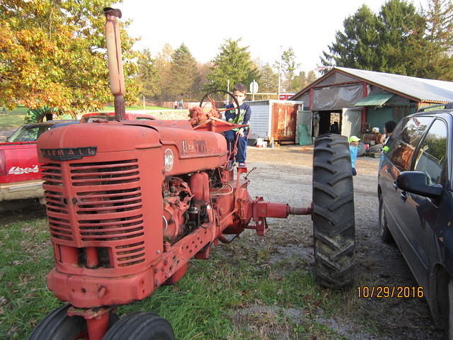 IMG 1028