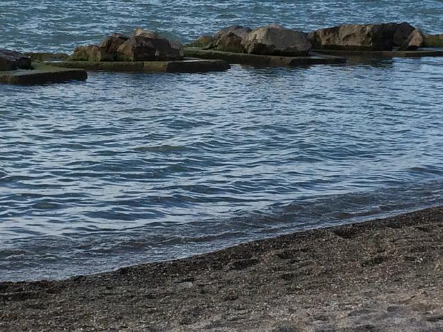 IMG 0782