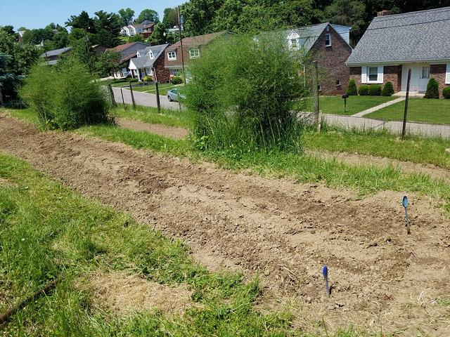 Corn all planted