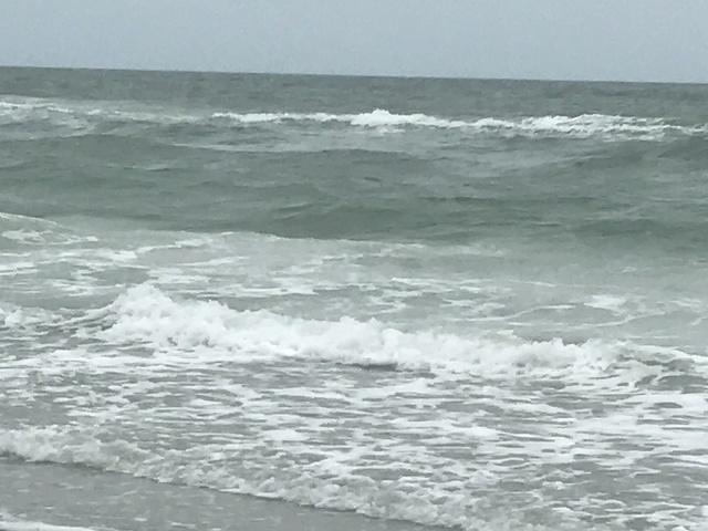 IMG 0458