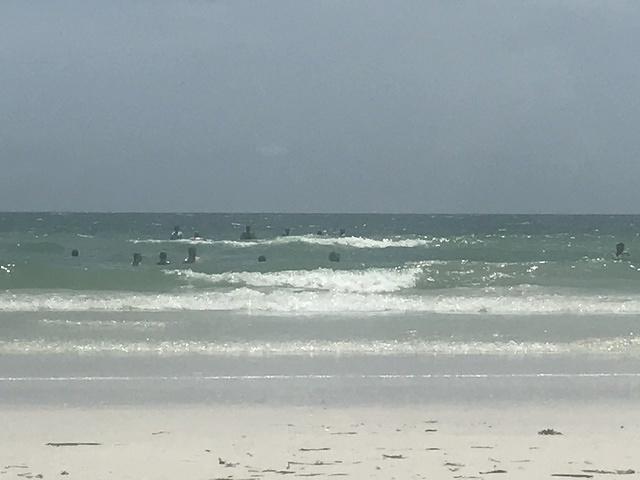 IMG 0467