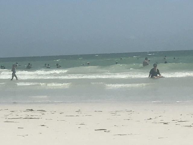 IMG 0468