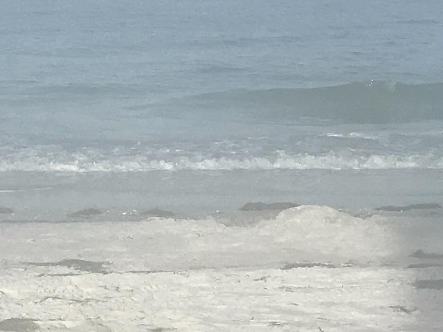 IMG 0484