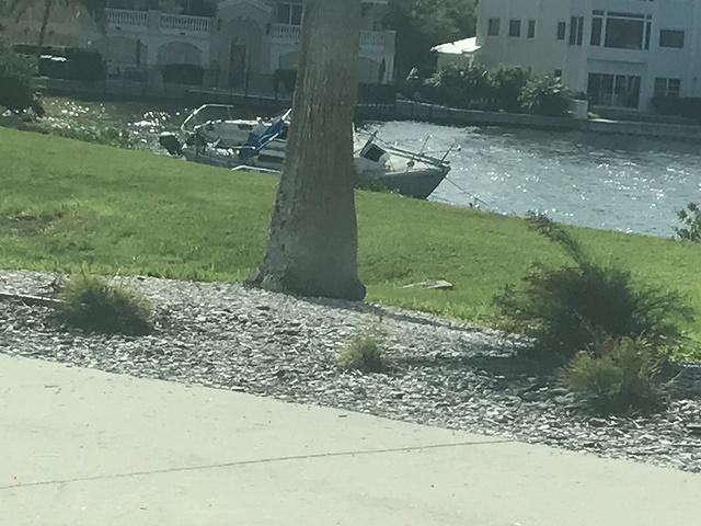 IMG 0488