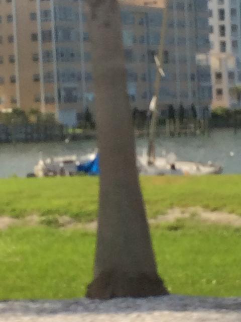 IMG 3619
