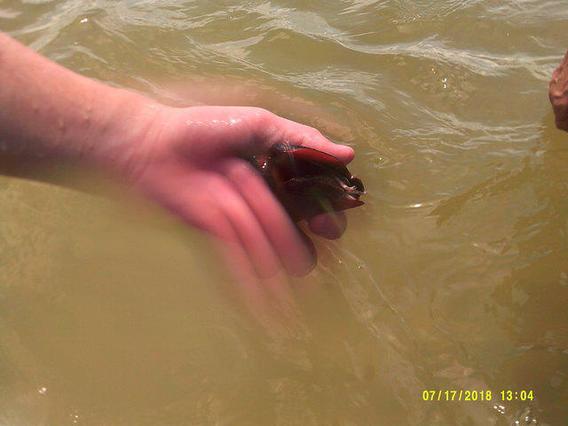 DSCF0039