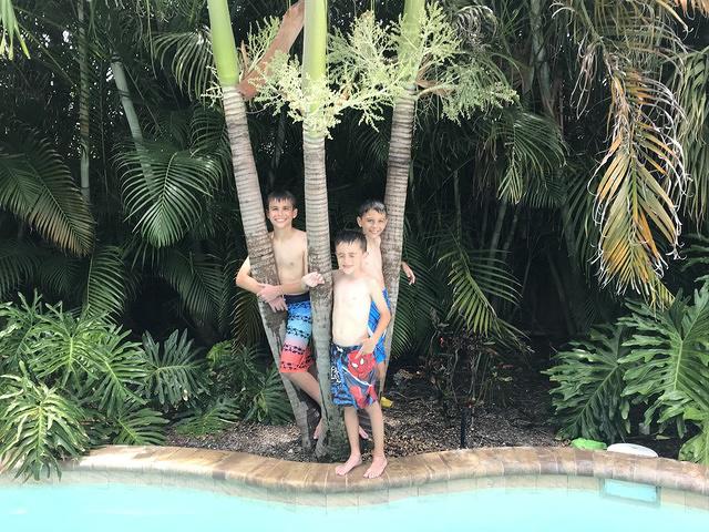 IMG 0791