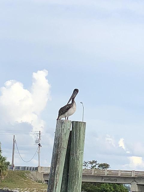 IMG 3607