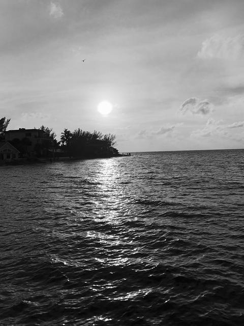 IMG E3621
