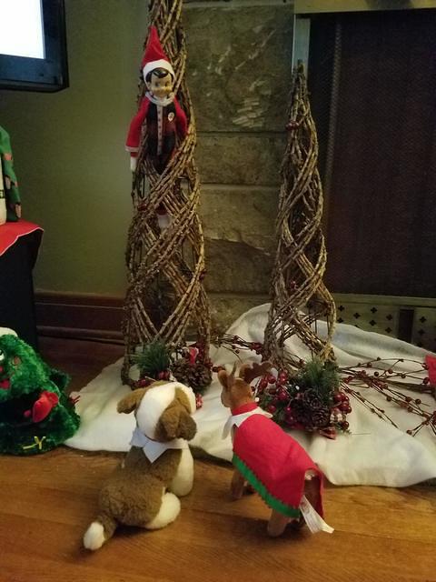 20181202 085604