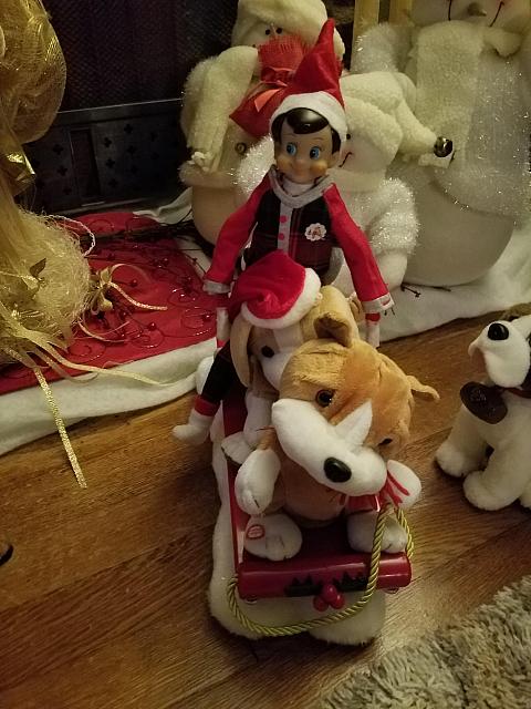 20181220 070121