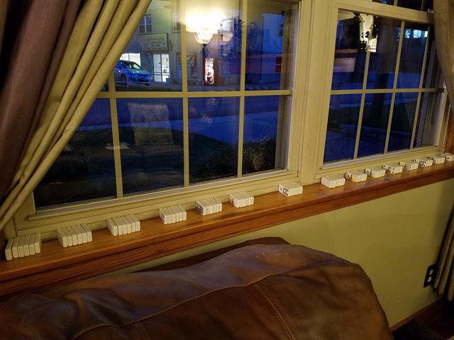 Luci stacked up these dominoes.  He loves stacking and aligning things.
